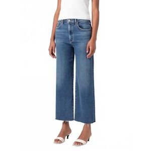 NWT AGOLDE HARPER CROP MID RISE RELAXED STRAIGHT in Motion Size 28